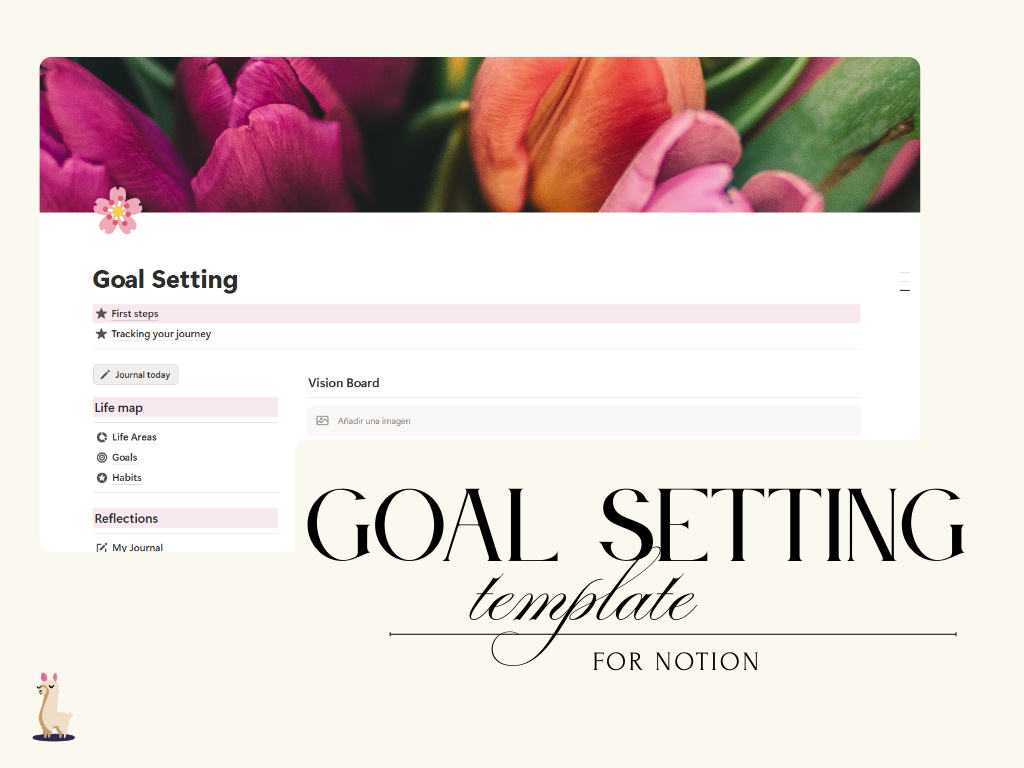 Notion Templates
